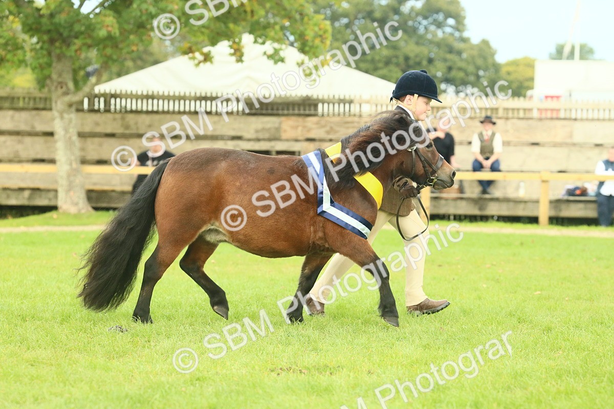 SBM_75232 - Super Supreme Championship
