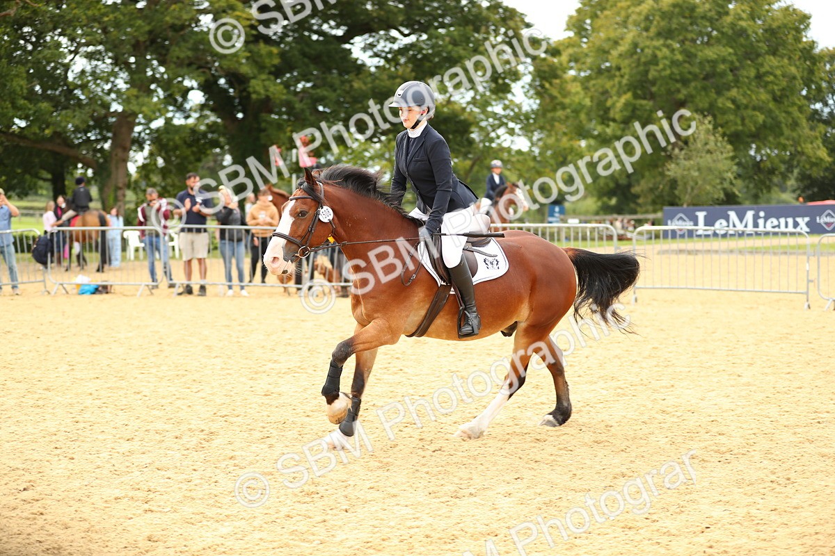 SBM_71353 - J18 - Junior Pony 85cm Championship