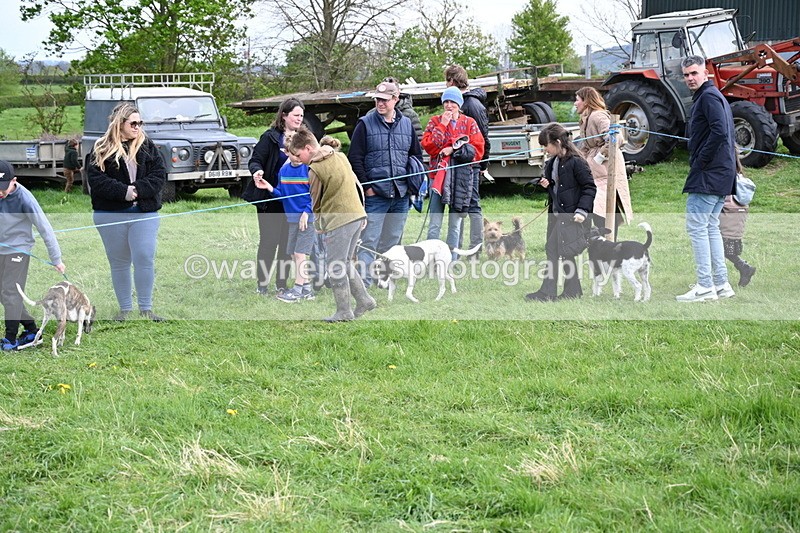 WJ6_8519 - Class 6 Best Rescue