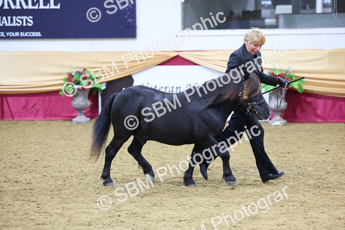 SBM_19719 - Class 901 - Supreme Final - IH Diamond