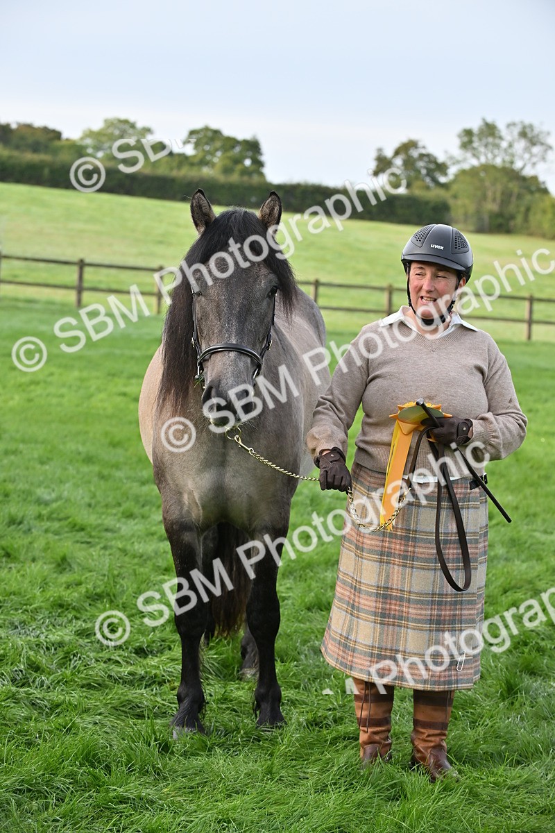 SBM_55380 - S44 - Youngstock In Hand