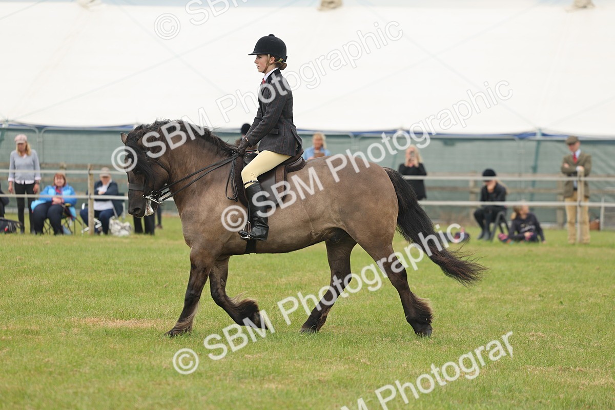 SBM_08966 - Class 78-80 - Ridden M&M Non Welsh Ponies