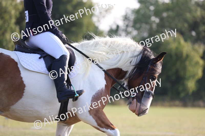 20250731-0808 - Class 1 - Intro 4