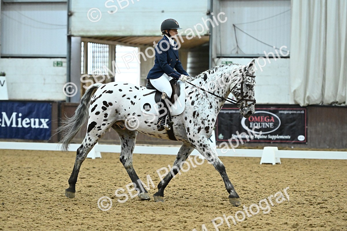 SBM_007493 - Class 81 - Novice 3