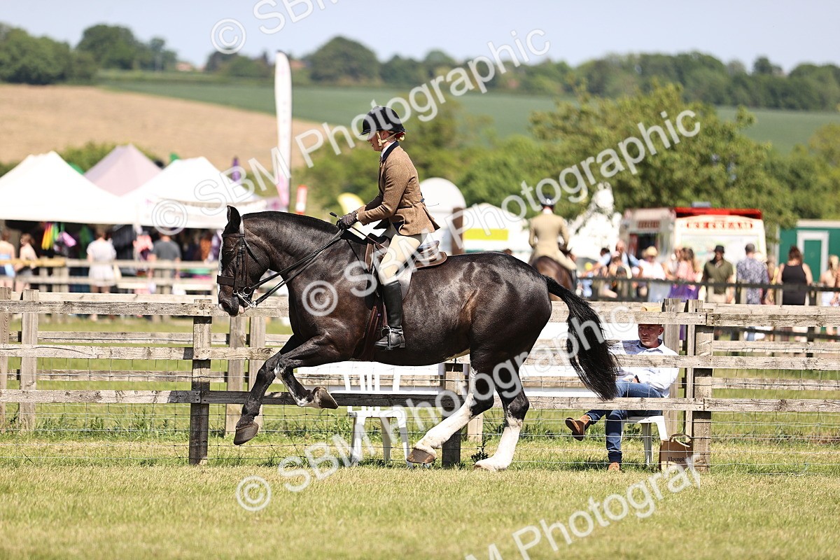 SBM_17888 - Class 81-83 - TSR Ridden Amateur of the Year - Horses