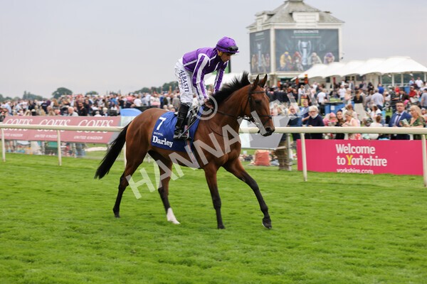 yr19082021r4-31 - Race 4 3.35pm Darley Yorkshire Oaks (British Champions Series race)