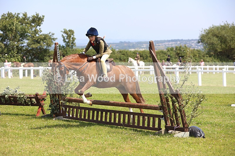 JPP_2499 - Class 21: Working Hunter 60cm