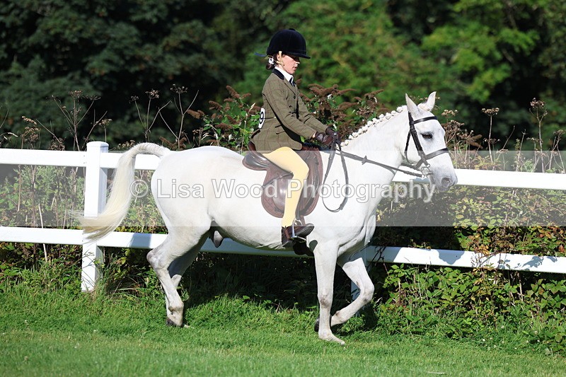 3E7A7573 - Class 1: Novice Working Hunter Pony