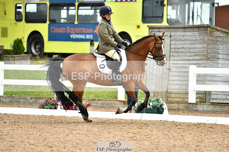 230630A-154721-03365 - Cls 1+5 Quest Intro A + Prelim 2