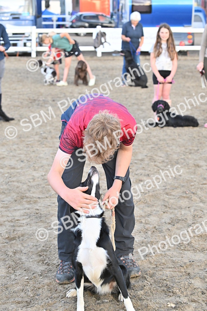 SBM_09627 - Lorry Dogs