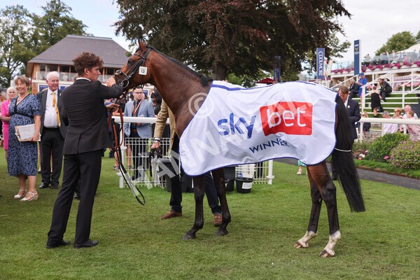 yr19082022r1-45 - Race 1 1.50pm Sky Bet Stakes