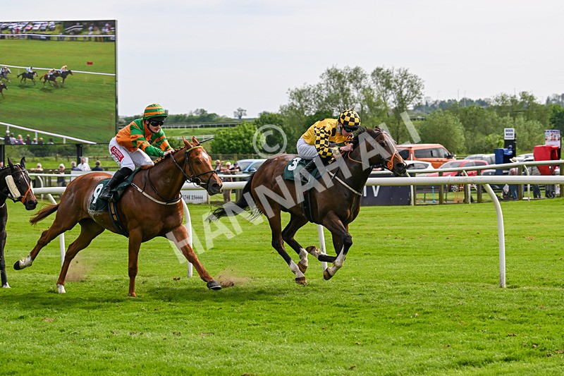 130524-Race 5-Sherdil-0599 - Race 5