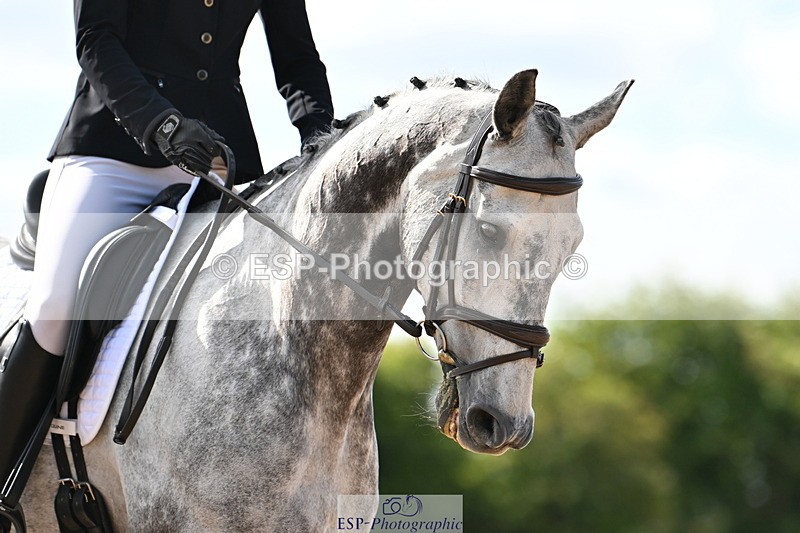 240622A-173322-15333 - Cls 7B+C Elementary 44 RoR