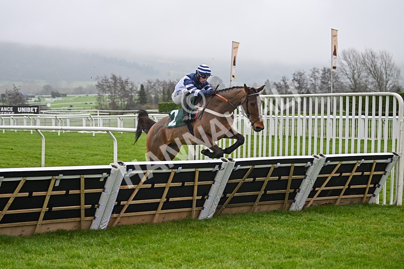 131224-Race 1-Palacio-8535 - Race 1