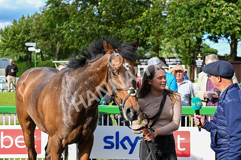 160624-Race 5-American Affair-9046 - Race 5