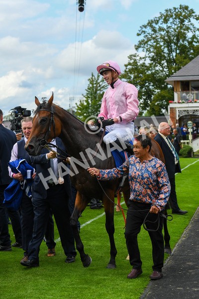 240823-Race 4-Warm Heart-0601 - Race 4 3.35pm Pertemps Network Yorkshire Oaks