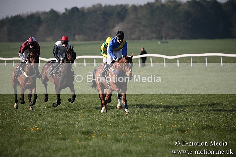PtP 210418 604 - South & West Wilts Point-to-Point Larkhill 21/04/18