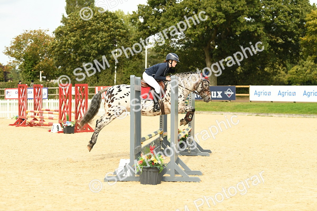 SBM_71084 - J15 - Junior Pony 70cm Championship