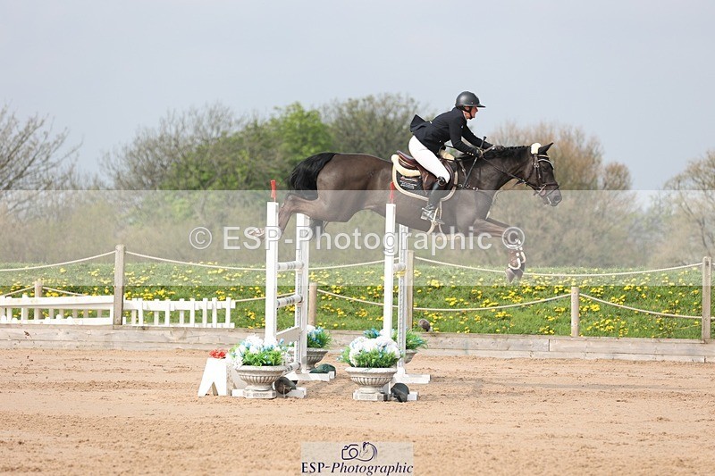 250424-104444-03203 - Cls 33 Young Horse 7yr old