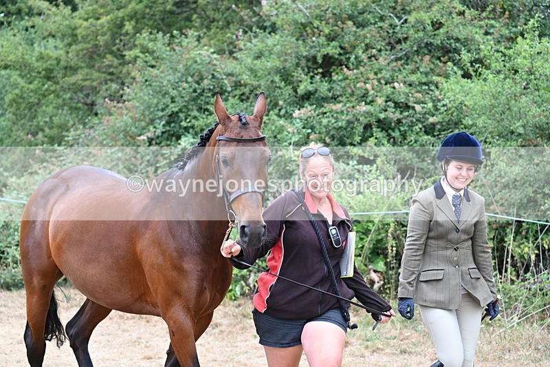 WJ7_8640 - Class 4a Prettiest Mare 14.2hh and over