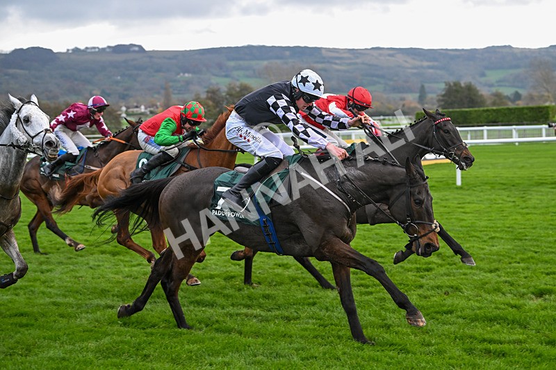 161124-Race 5-Noble Birth-0986 - Race 5