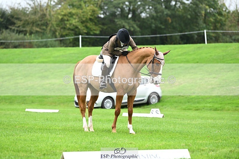 241024-110029-03113 - 502-Alison.Stewart-RICO.III