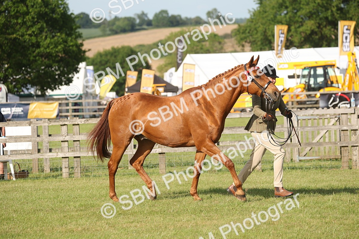 SBM_10494 - Class 33-38 - SSADL RIHS Qualifiers