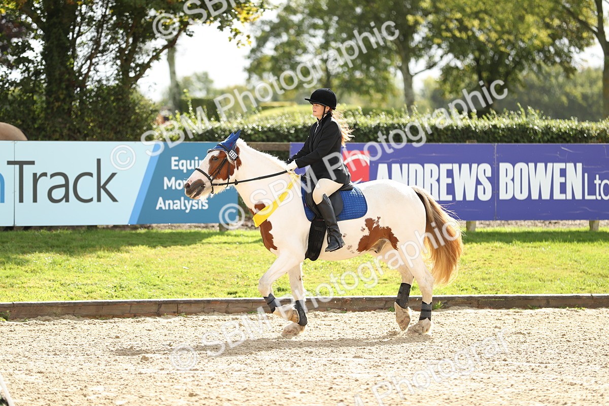 SBM_02056 - J34 - Veteran Rider 50cm