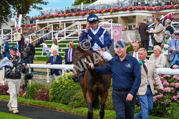 220824-Race 1-Celandine-6334 - Race 1 1.50pm Sky Bet Lowther Stakes