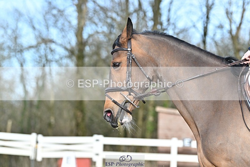 250125-122205-00419 - Dressage - CT Class 5 BE95 (90cm)