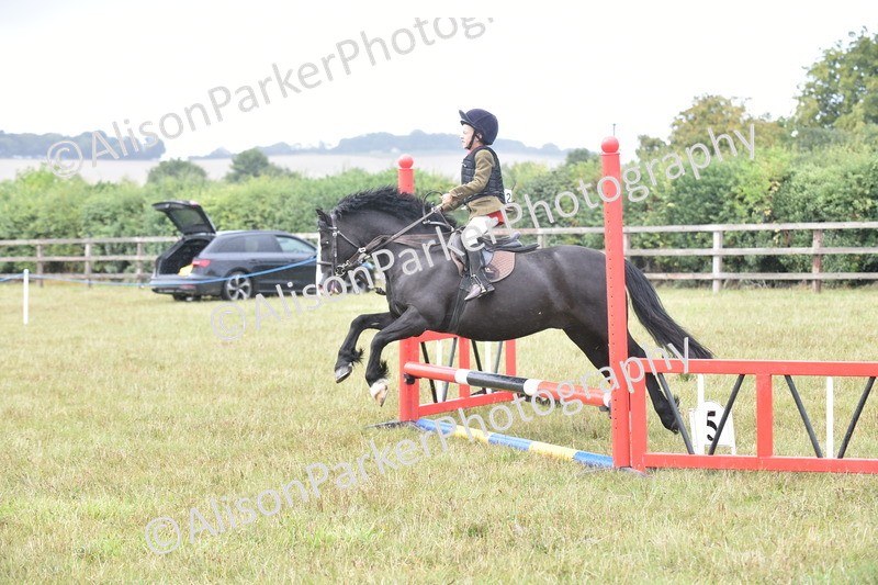 20250831-1860 - Class 9 - Absolute Novice 45cm