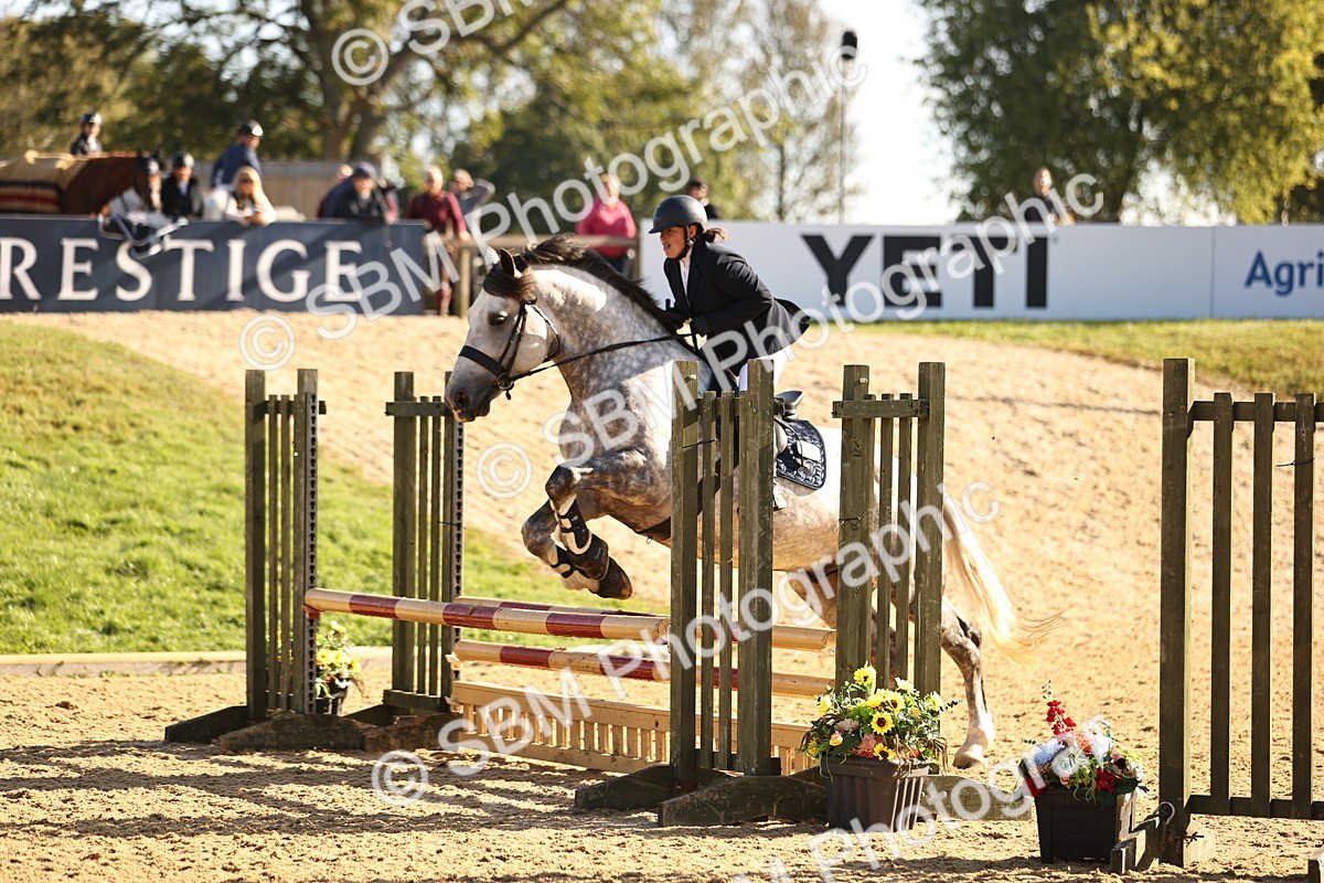 SBM_35149 - J38 - Senior 80cm Championship