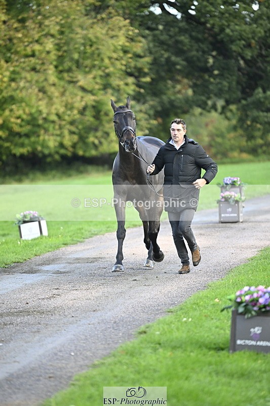 251025A-090520-17741 - A-004-Max.Warburton