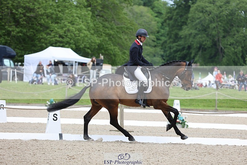 240524-101716-07356 - 260-WATERVALLEY_ROYAL_GUY-Harry_Meade