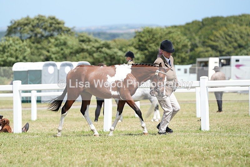 DSC07265 - Class 67: NPS SP Youngstock