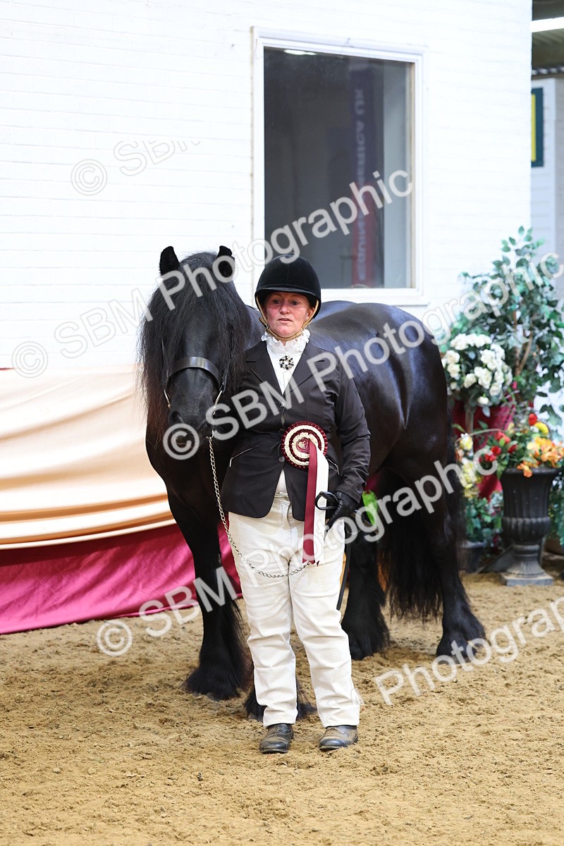 SBM_22923 - Class 903 - Supreme Final - IH Pre Vet