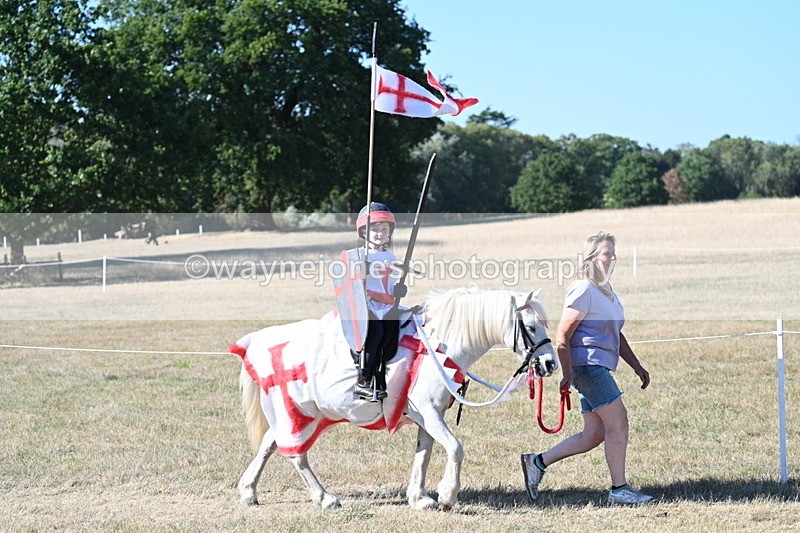 WJ7_2450 - Class 45 Fancy Dress (My Fav)