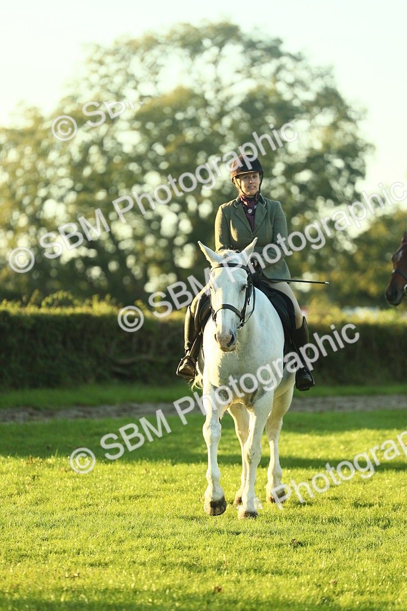 SBM_56426 - S14 - Riding Club Horse