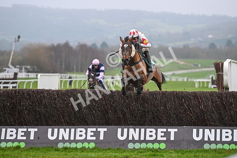 131224-Race 4-Ballygrifincottage-9177 - Race 4