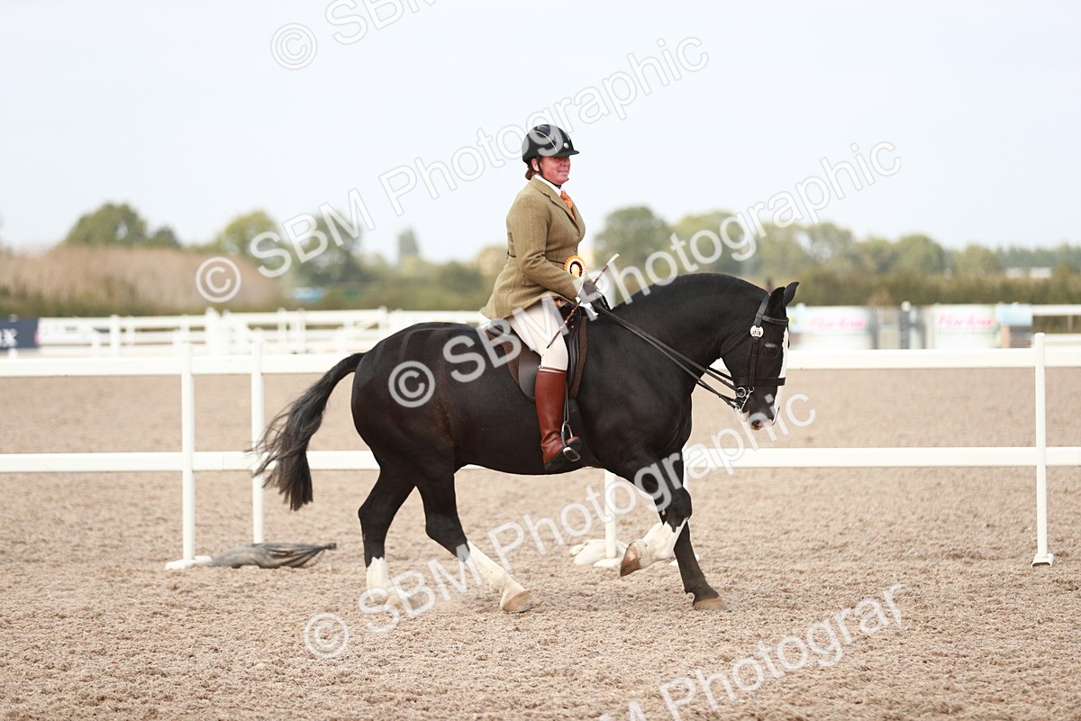 SBM_16842 - Class 214 Ridden Cob