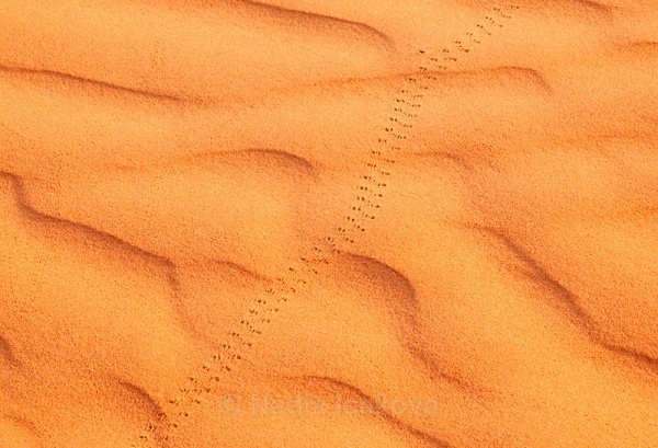  - Namibia