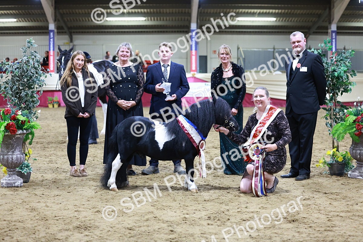 SBM_20867 - Class L - Coloured Champ