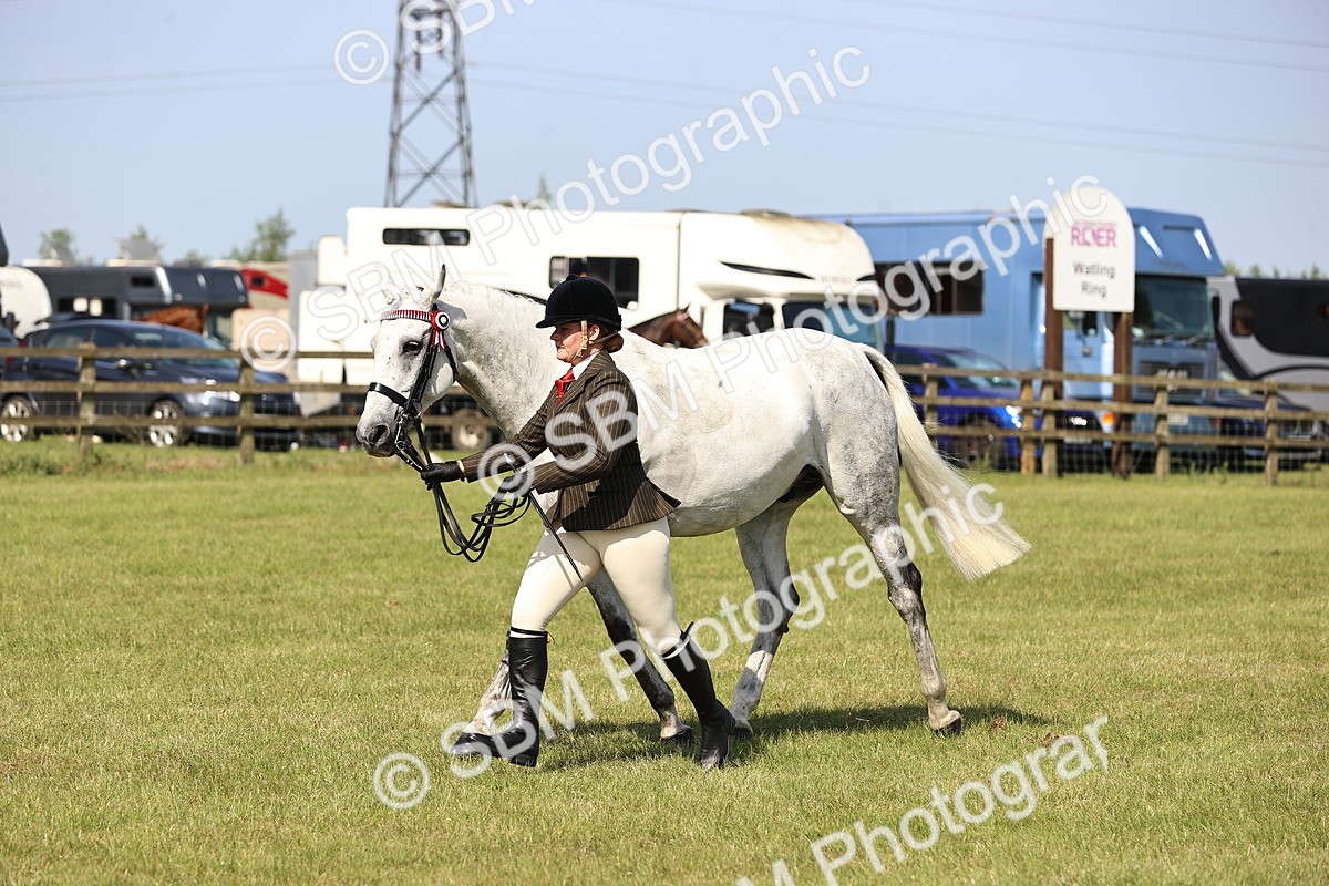 SBM_12943 - Class 75-76 LIHS BSHA Rising Star Hack Riding Horse