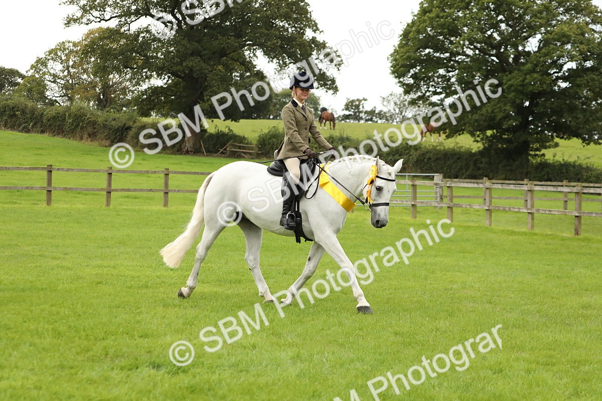SBM_71454 - S41 - Ridden Equitation (Best Rider)