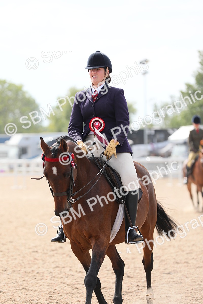 SBM_15626 - Class 311 Ridden Show Pony/ Show Hunter Pony