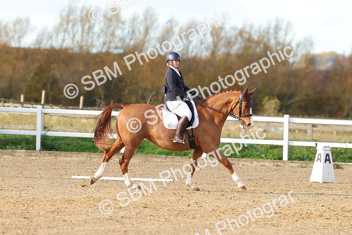 SBM_000717 - Novice 5