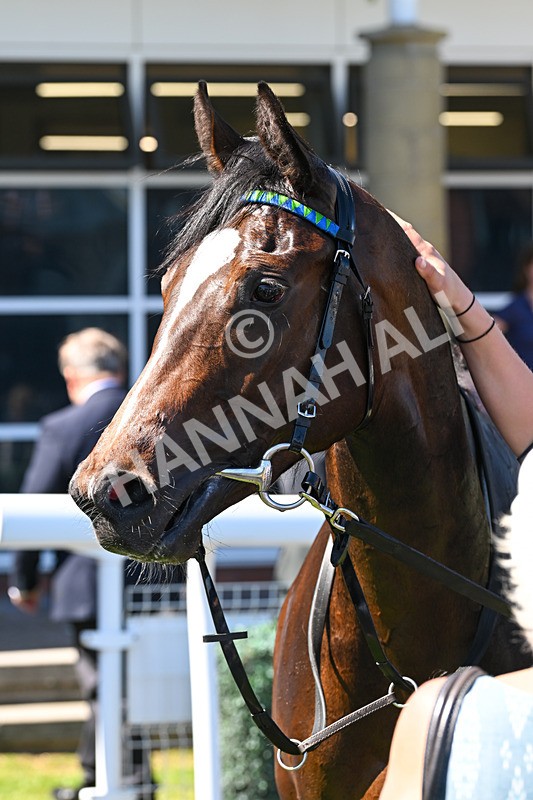 130525-Race 1-Artista-9477 - Race 1