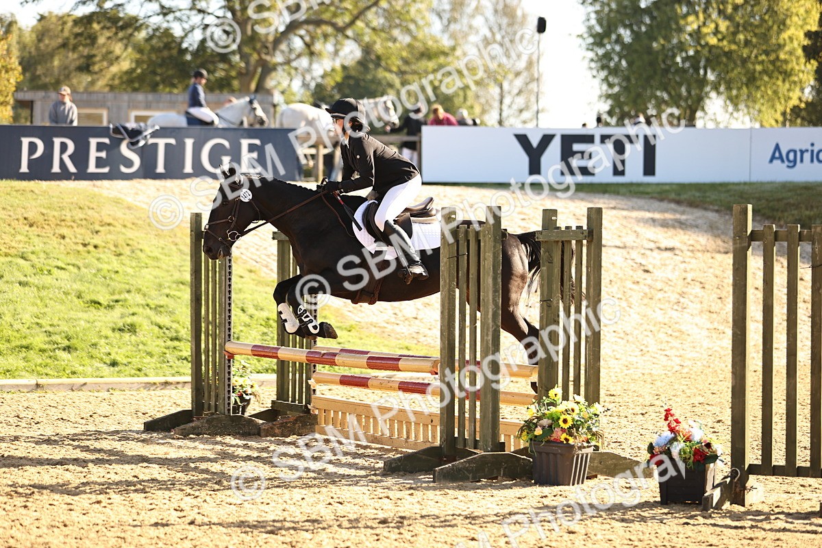 SBM_34790 - J38 - Senior 80cm Championship