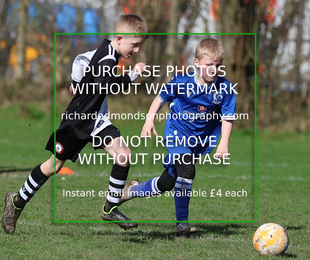 533A8196 - Ibis Under 8's (14/3/26)