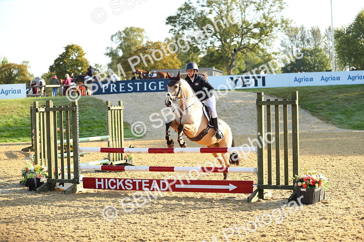 SBM_57759 - J64 - Clear Round 90cm